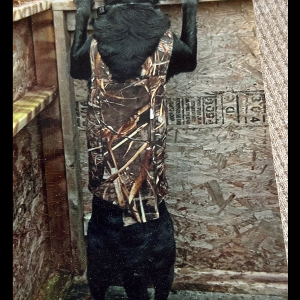 Cabela’s Northern Flight Realtree Max-5 Dog Hunting Vest Sz 2XL Neoprene Padded